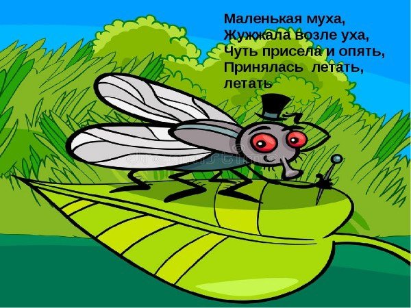 Назойливая Муха