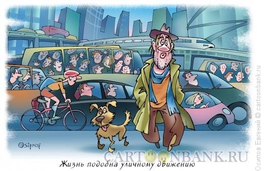 Карикатуры про жизнь