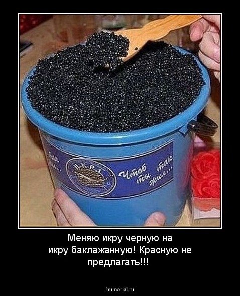 Красная икра прикол