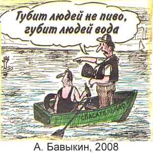 Стрелков карикатура