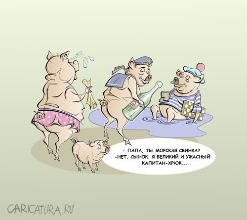 Свинья карикатура смешная