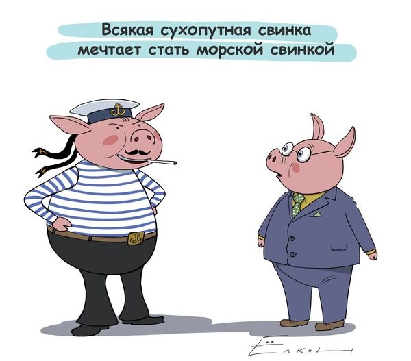 Приколы про свиней с надписями