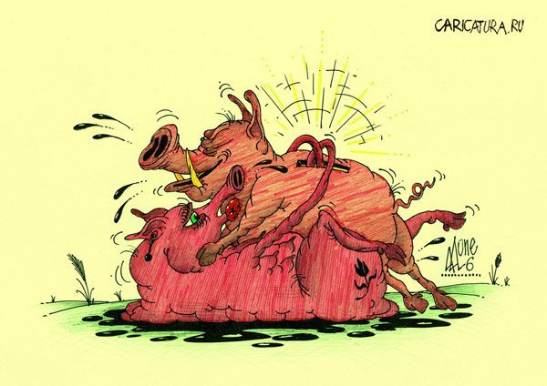 Кабанчик карикатура