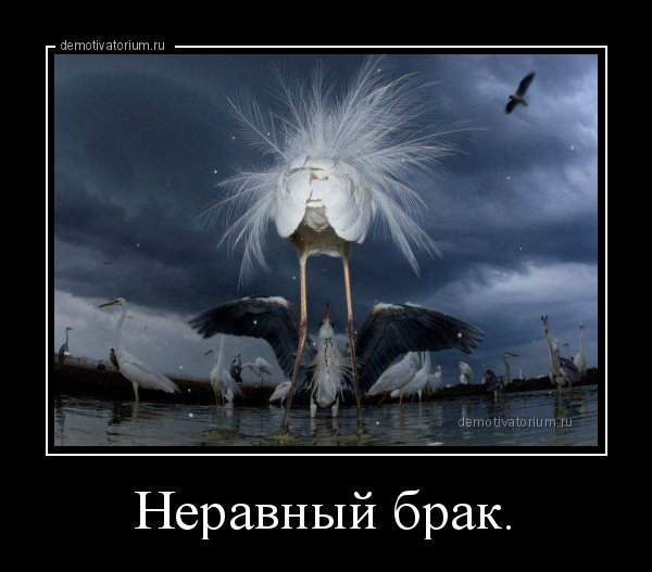 Советские карикатуры на семейные темы