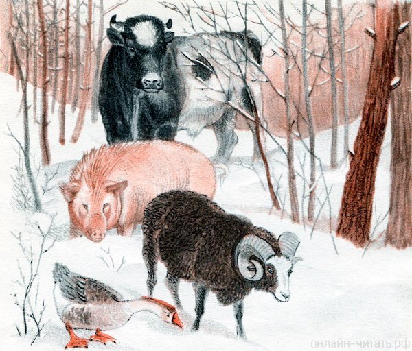 Зимовье зверей иллюстрации