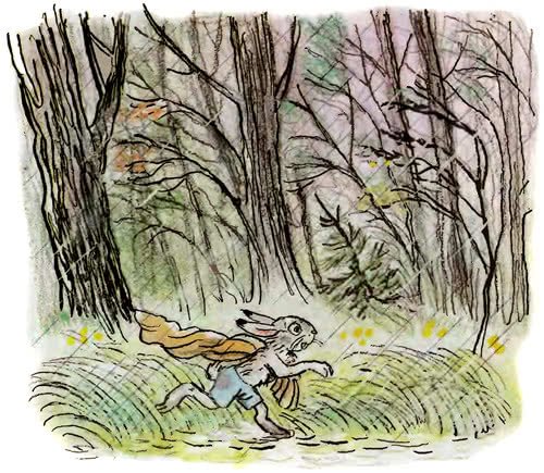 Владимир Сутеев мешок яблок иллюстрации