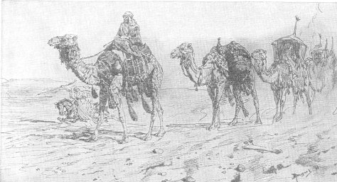 Иллюстрации три пальмы лермонтов (50 фото)