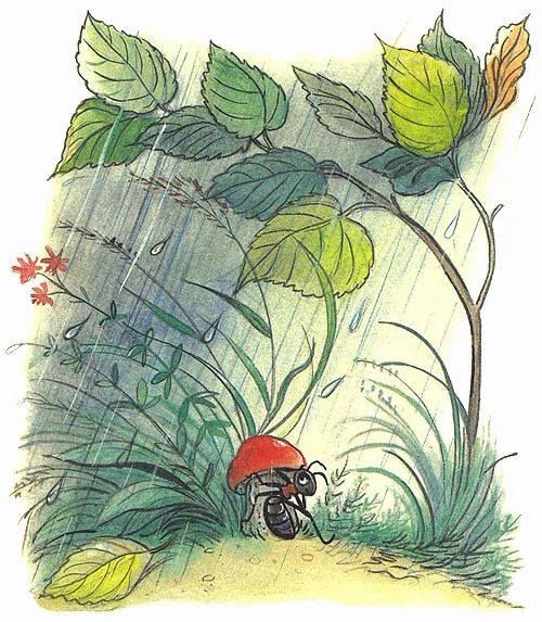 Сутеев под грибом иллюстрации