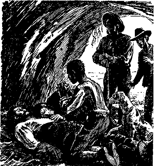 Герберт Браун таинственный остров