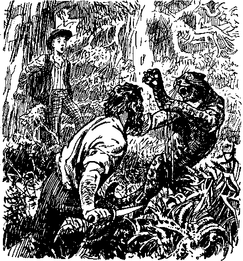 Таинственный остров Роман Жюля верна