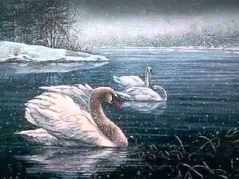 Рождественский рисунок с лебедем