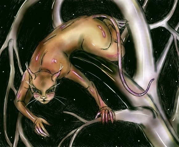 Бенедикт Кысь