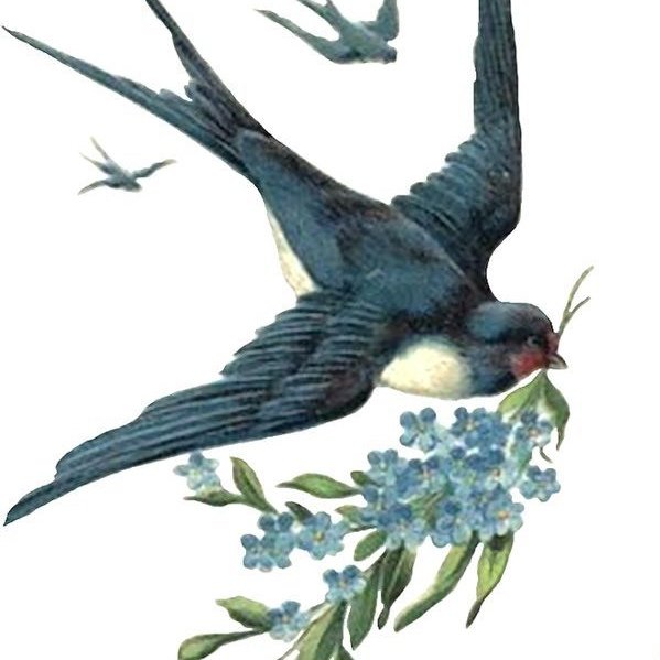 Весенние ласточки