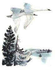 Абрамов валенки иллюстрации (48 фото)