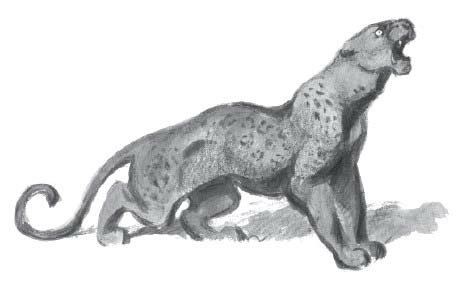 Ватагин Василий Алексеевич Маугли