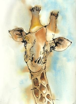 Жираф Гумилева
