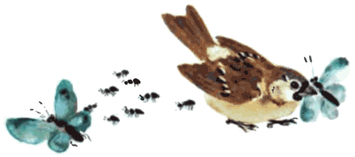 Е. Чарушина «воробьи».