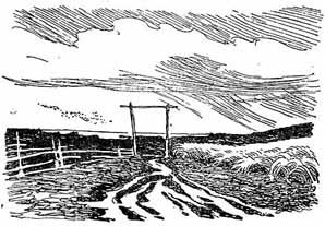 Несжатая полоса иллюстрация