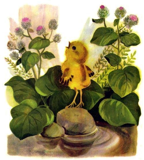 Чуковский цыпленок текст