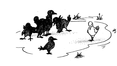 Белая ворона фразеологизм