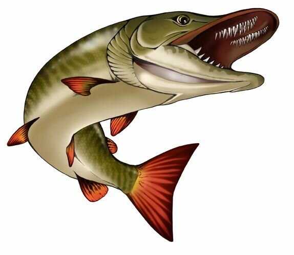 Щука мультяшный