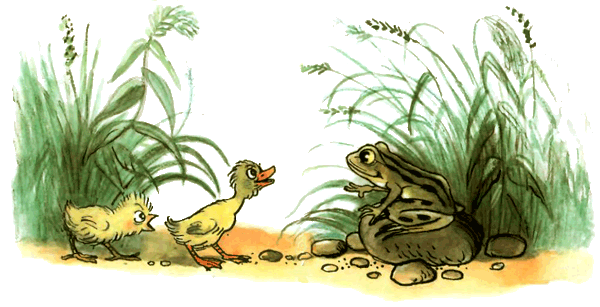 Книга Сутеева цыпленок и утенок