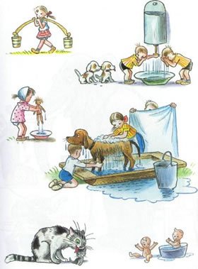 Животные умываются иллюстрации