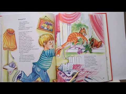 Борис Заходер вредный кот