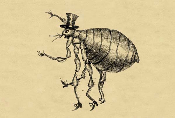 Блоха и профессор Андерсен