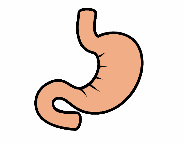 Желудок мультяшный