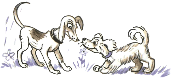 Нарисовать собаку к стихотворению жила была собака