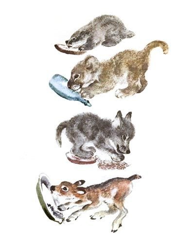 Детки в клетке Чарушин