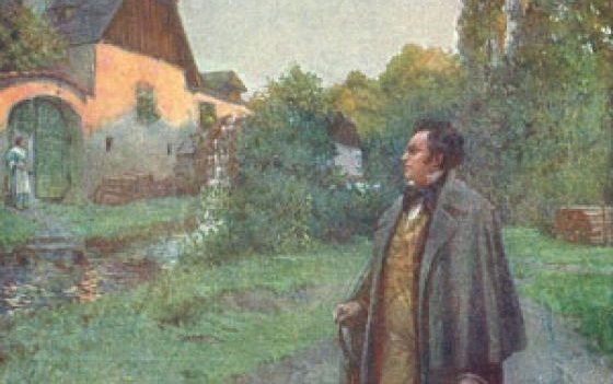 Цикл прекрасная мельничиха