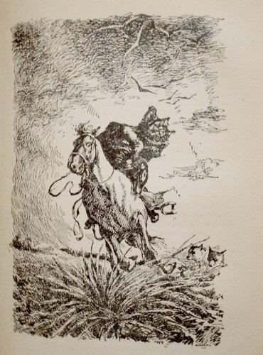 Всадник без головы майн Рид иллюстрации