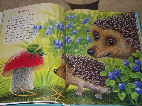 Художник Ксения Павлова детские книги