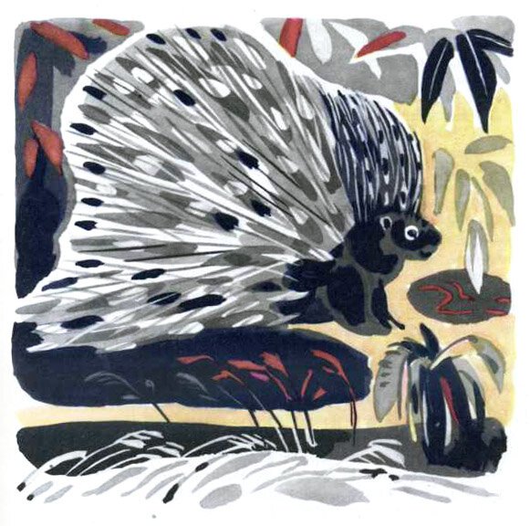 Митурич май Петрович иллюстрации