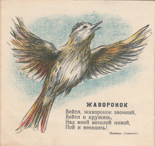 Жаворонок живопись