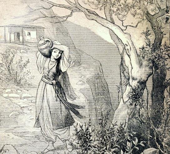 Мцыри Лермонтова грузинка