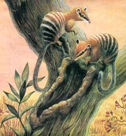 Рубен Варшамов иллюстрации динозавры