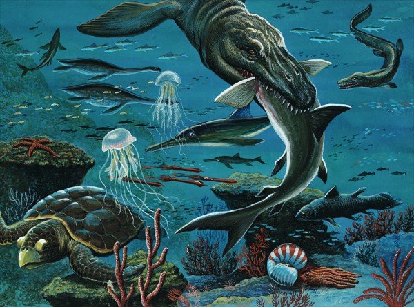 Рубен Варшамов