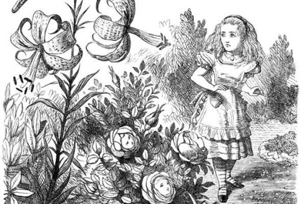 Кэрролл Льюис «Алиса(Alice) в стране чудес»