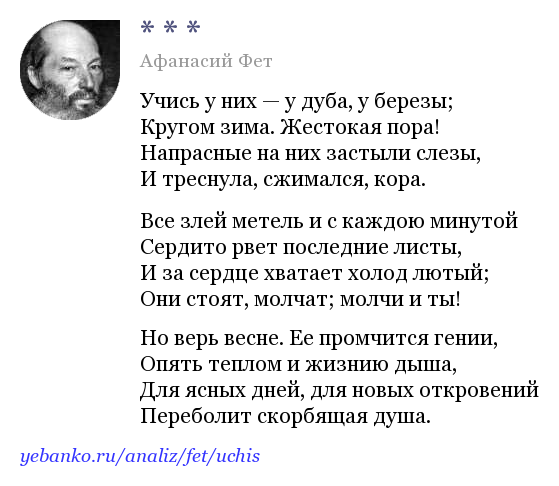 Стихотворение Фета учись у них у дуба у березы