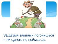 Убить двух Зайцев фразеологизм