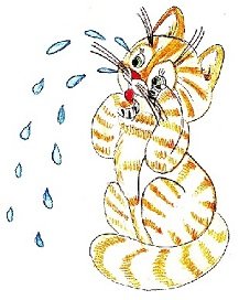 Кот наплакал