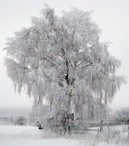 Зимние зарисовки легкие