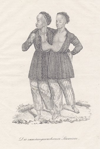 Стихотворение в прозе Близнецы