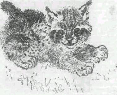 Мурзук иллюстрации Чарушина