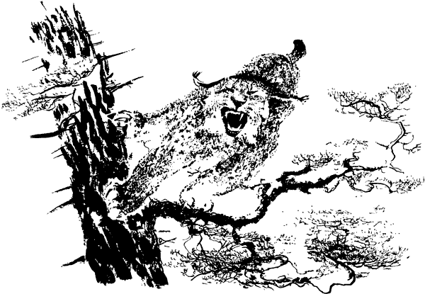 Мурзук Чарушин