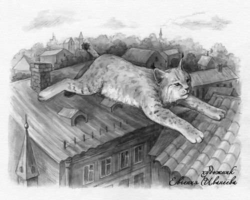 Евгений Чарушин Мурзук