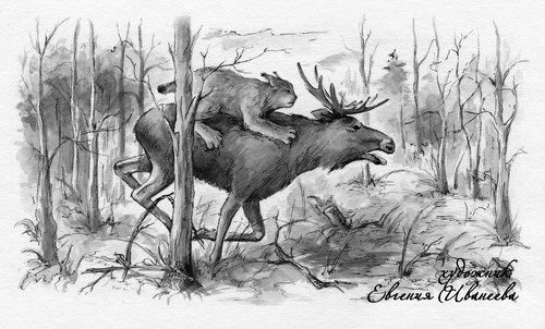 , "Мурзук" в.в. Бианки (1928),